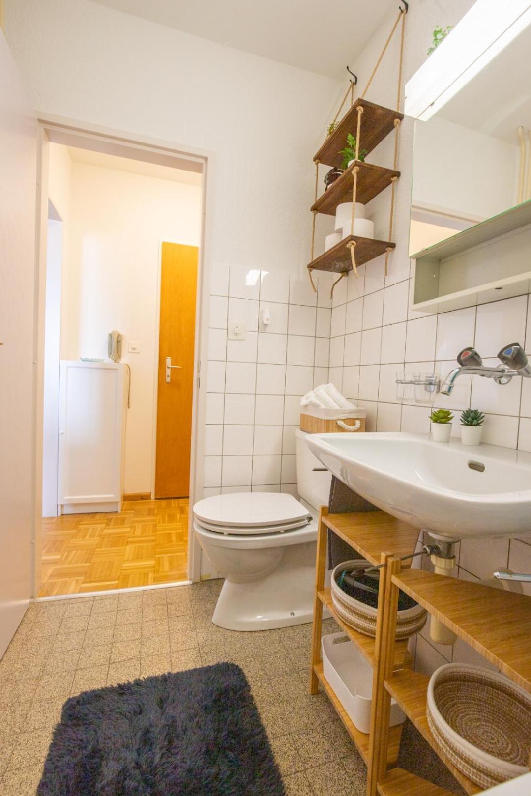 Special Blue Tiger Apartment Basel, Messe Kleinbasel 10-Star Basileia Exterior foto