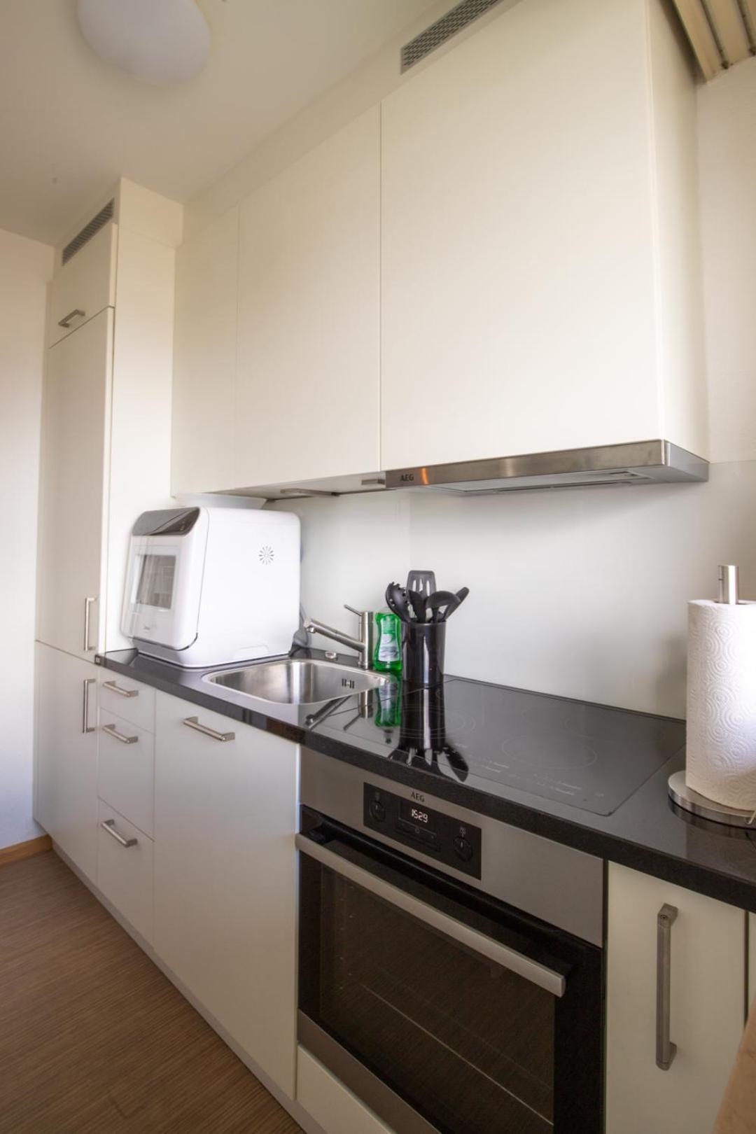 Special Blue Tiger Apartment Basel, Messe Kleinbasel 10-Star Basileia Exterior foto